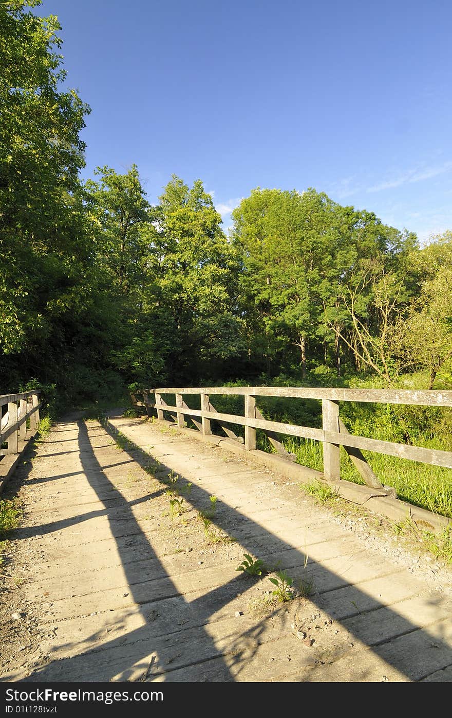 Wooden bridge over the river in the oak forest