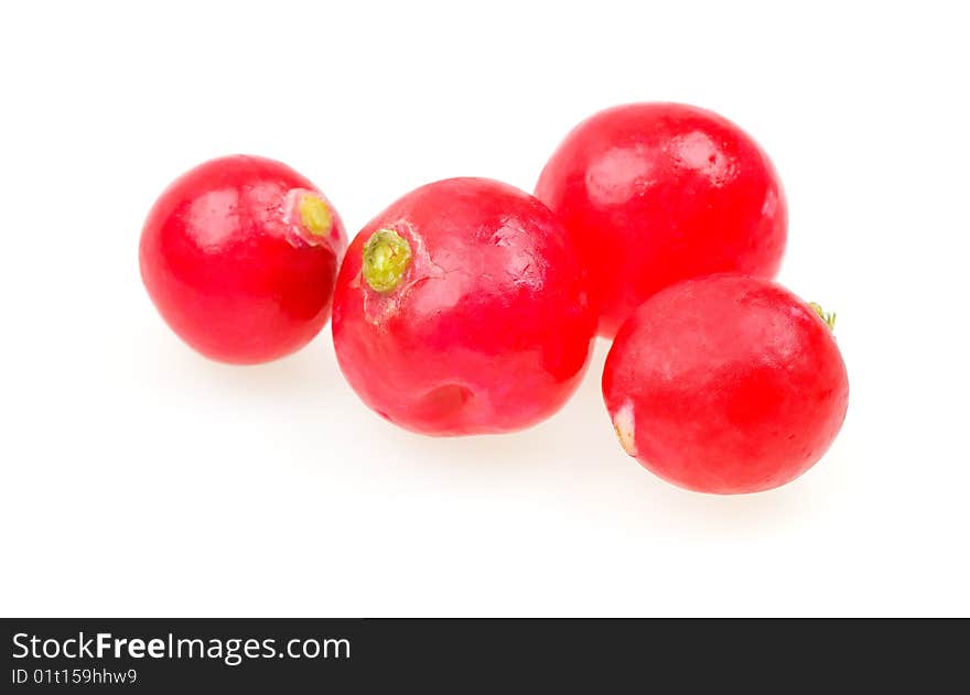 Fresh radishes isolated on white