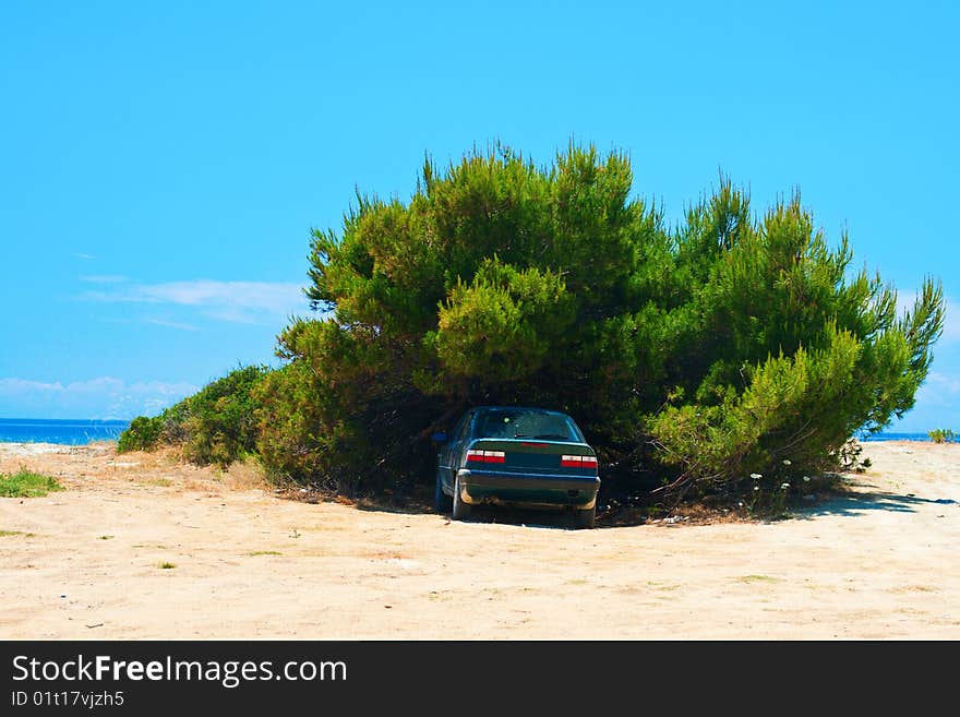 Car under the bush. Pause of long way to sea. Greece, Kassandra, Chalkidiki.