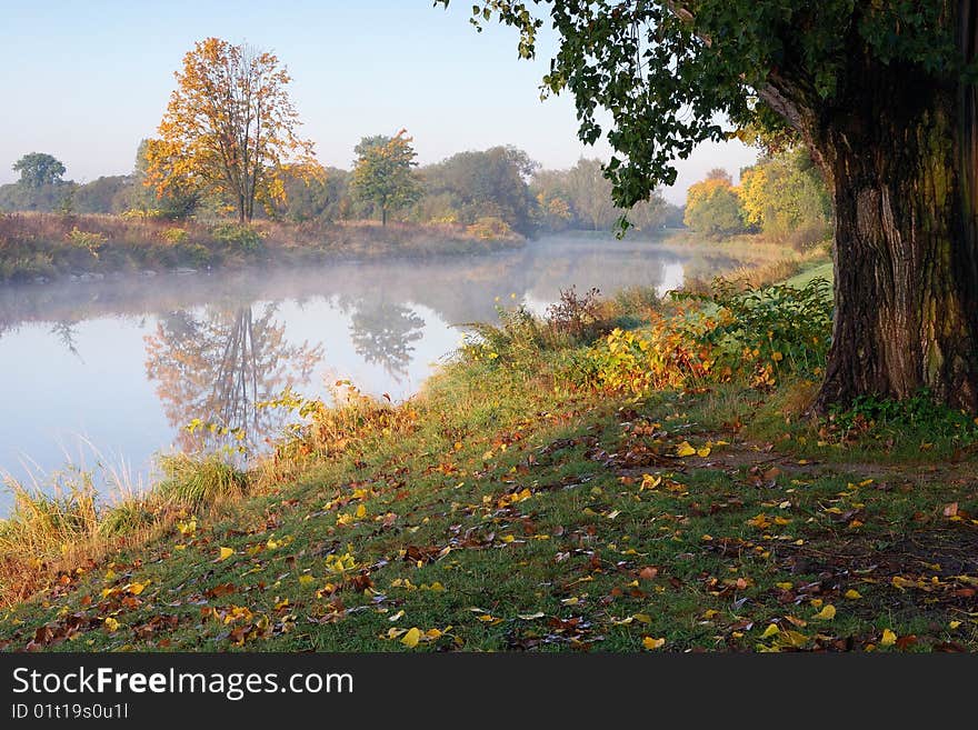 Autumn river in the morning light