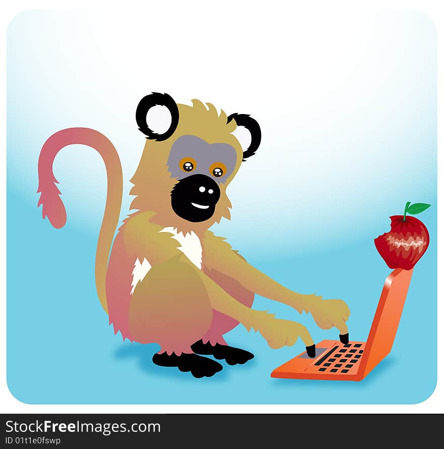 A cute monkey  playing on a laptop while eating a juicy red apple. A cute monkey  playing on a laptop while eating a juicy red apple