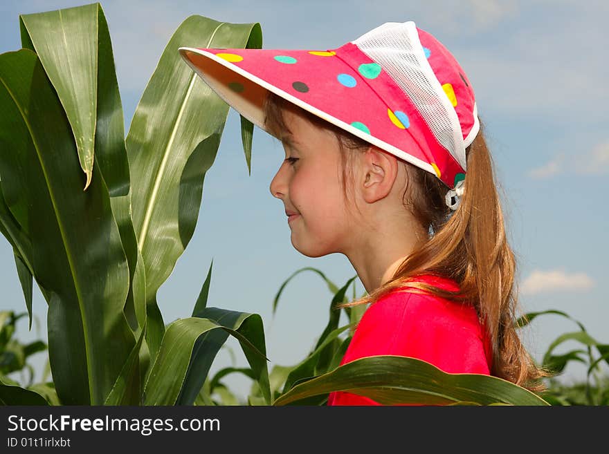 The little girl in a cap looks at corn leaves. The little girl in a cap looks at corn leaves