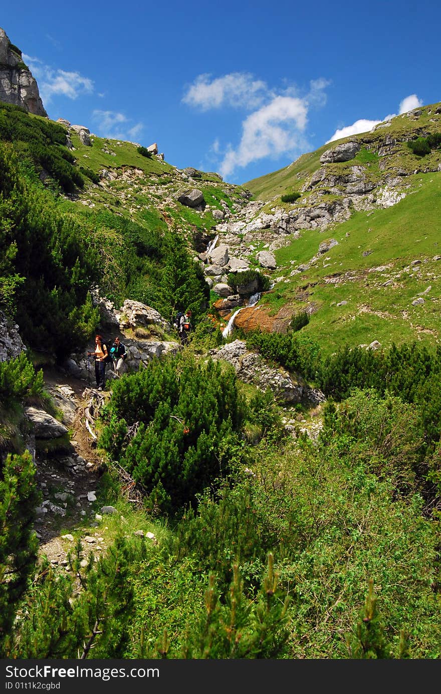 Summer Landscape In Mountains