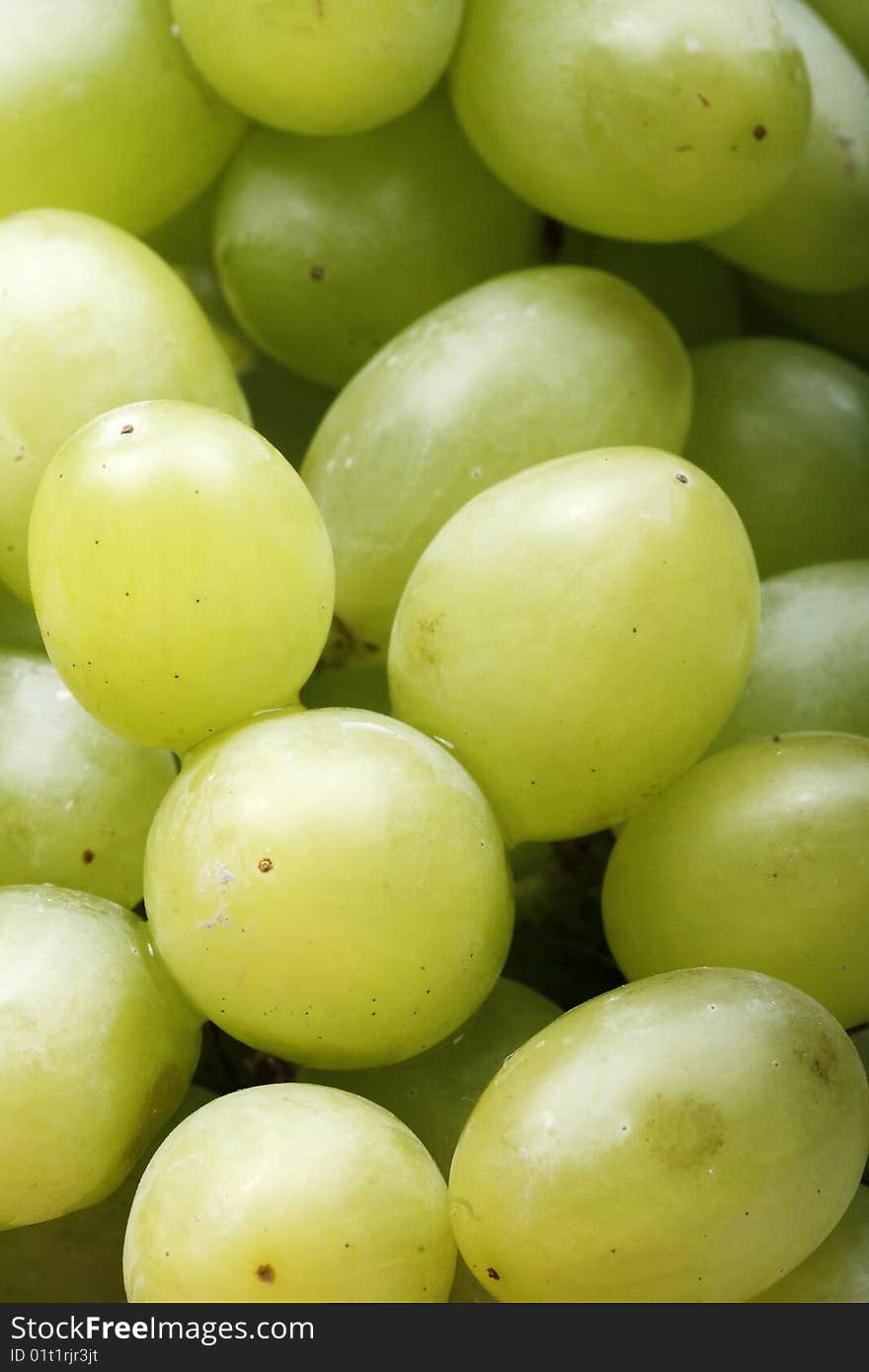 Close-up of many bunches with green grapes. Green grapes contains abundant nutrition. Close-up of many bunches with green grapes. Green grapes contains abundant nutrition.