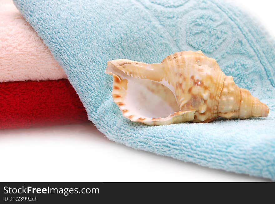 Very Beautiful Seashells On Towel Background