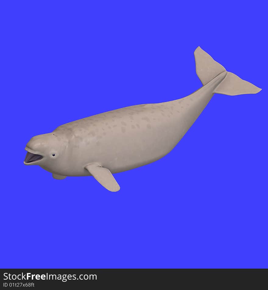 Whitle beluga whale calf. 3D rendering with clipping path