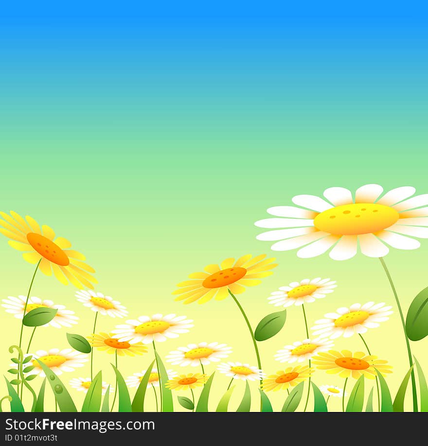 Yellow and white flowers under blue sky,used as background. Yellow and white flowers under blue sky,used as background