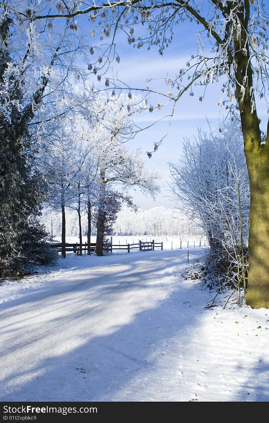 A wonderful piece of a snowy winter with a blue sky. A wonderful piece of a snowy winter with a blue sky.