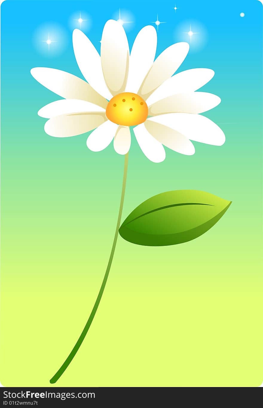 A white dasiy isolate on a green and blue background. A white dasiy isolate on a green and blue background