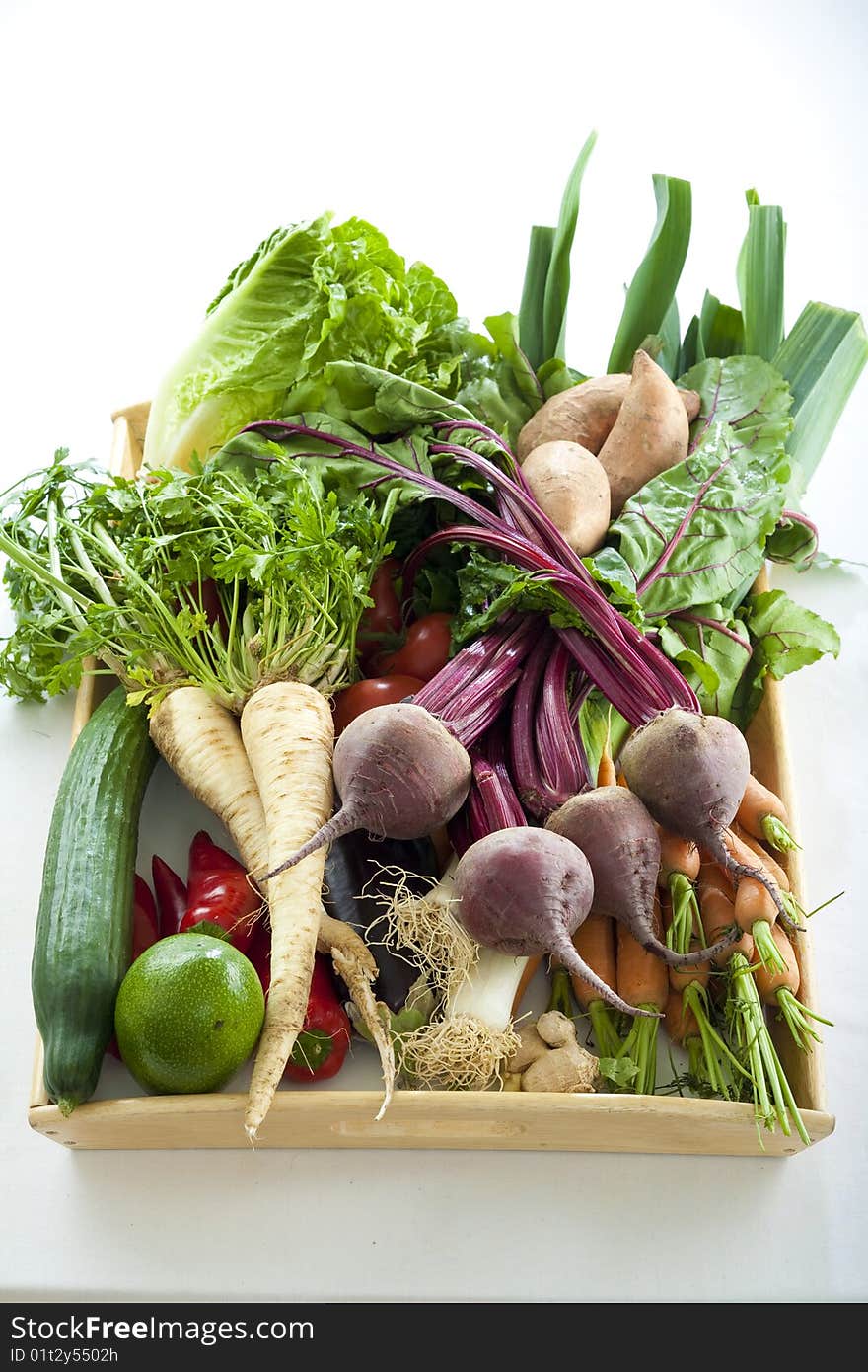 Arrangement of different kinds of vegetables