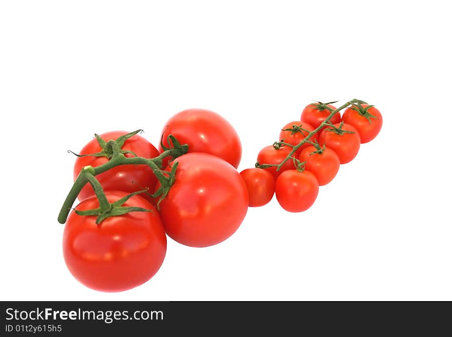 Tomatoes