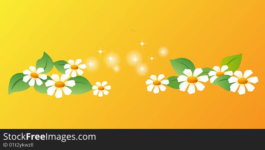 White  daisy with green leaves on a orange background. White  daisy with green leaves on a orange background