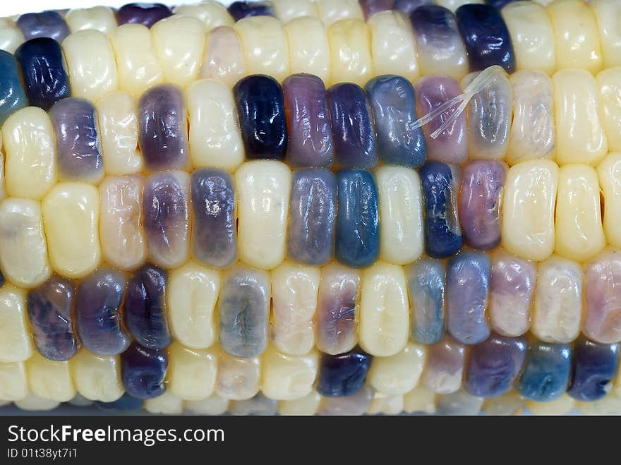 Close up capture on corn details