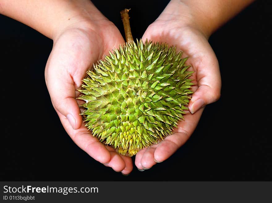 Durian Asian Fruits Series 03