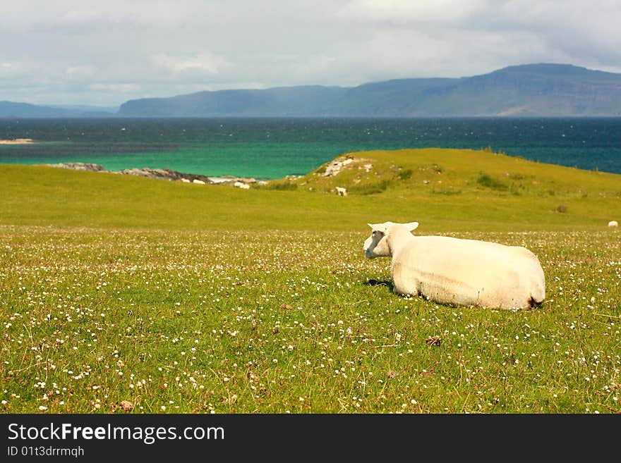 Iona, Scottish island