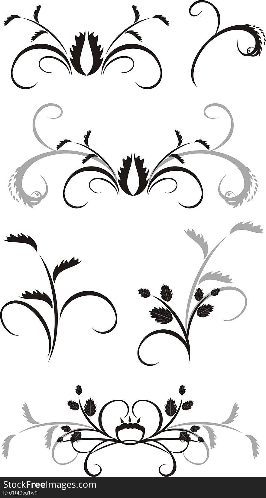 Set of floral ornament for design