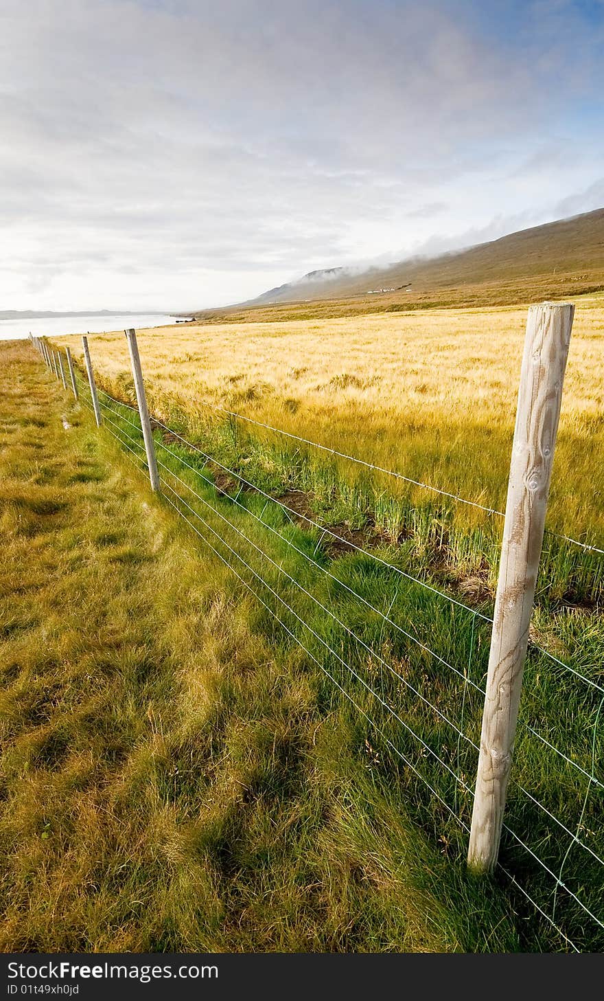 wheat field with fence