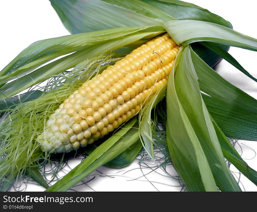 Corn isolated on white background - close up