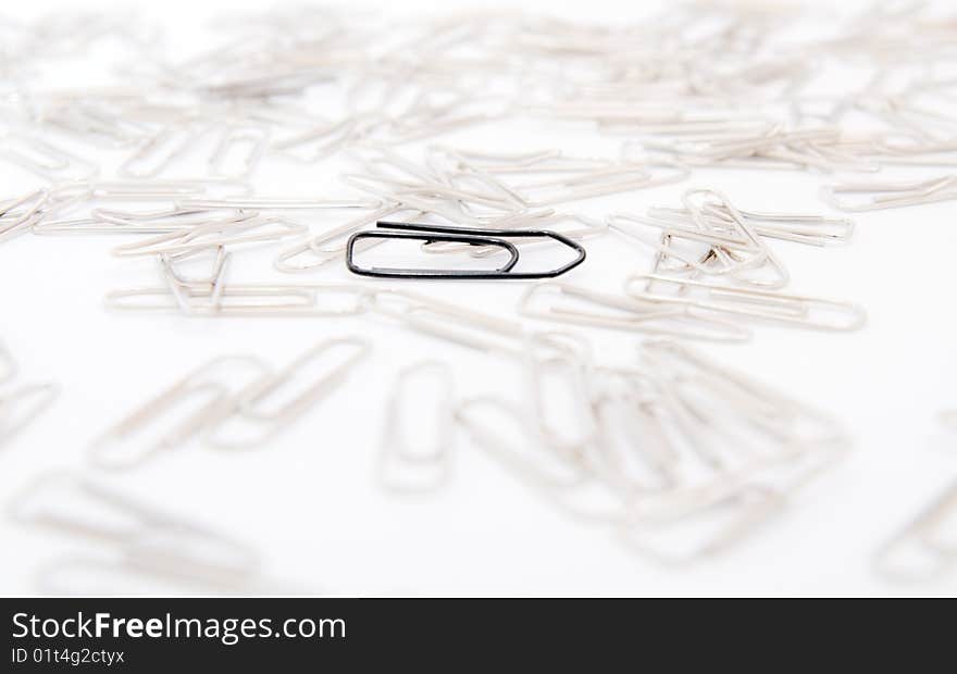 One black paperclip among many steel grey paperclips on white background. One black paperclip among many steel grey paperclips on white background