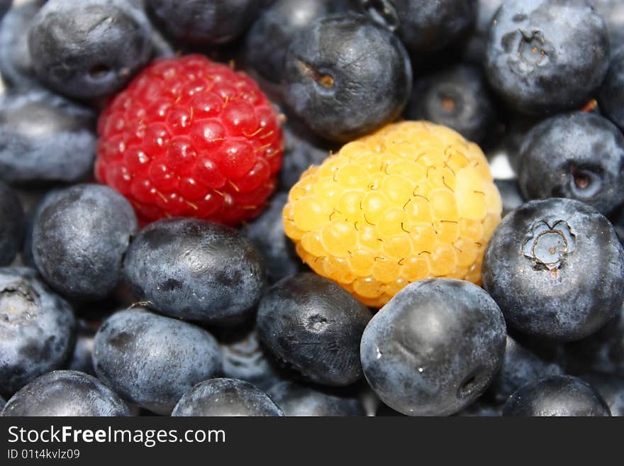 Blueberries with one red and one yellow berry