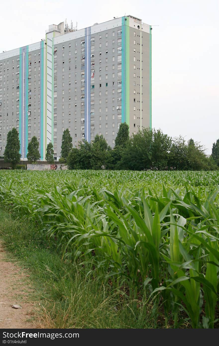 Urban landscape with green field