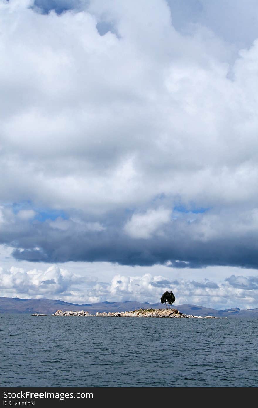 Lonely tree on an island on the lake Titicaca in Bolivia. Lonely tree on an island on the lake Titicaca in Bolivia