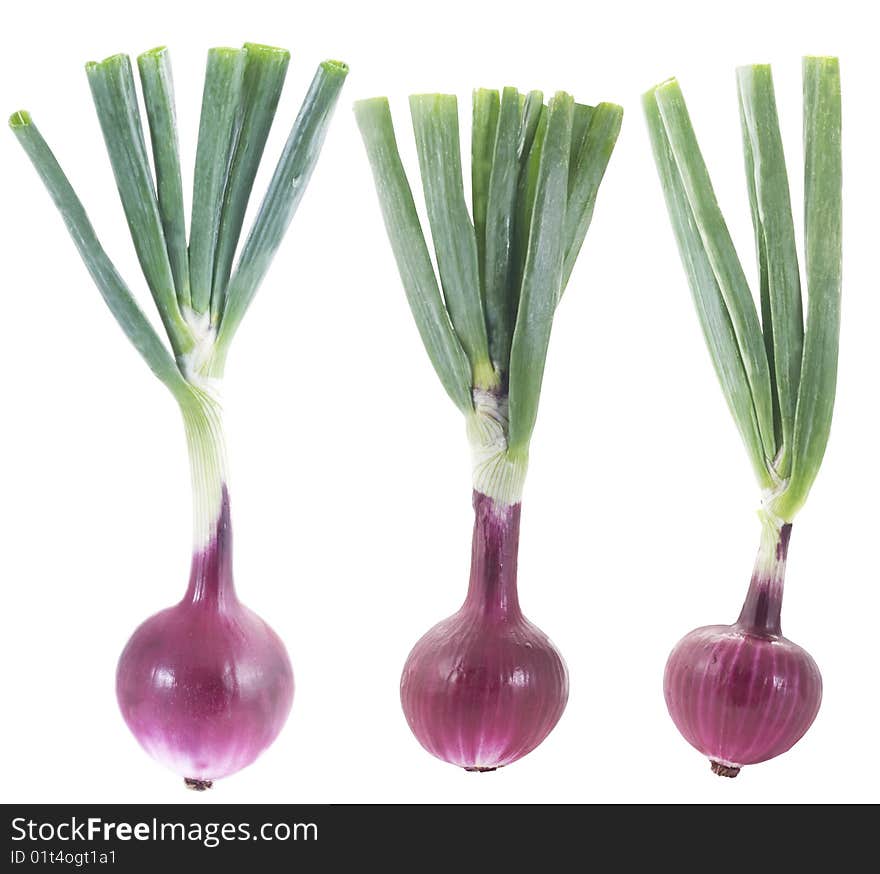 Set of Red onions on white background