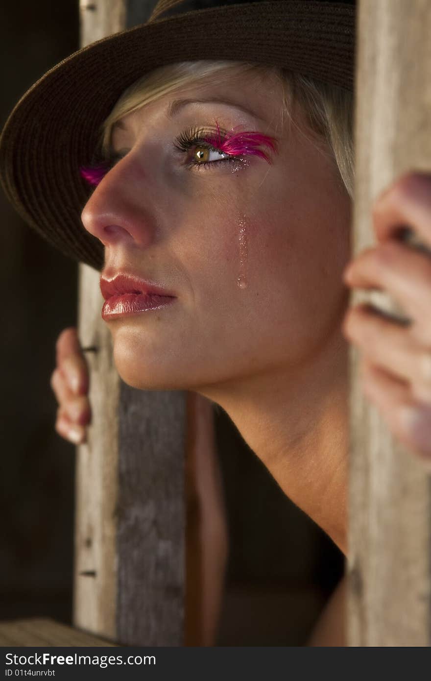 Portrait of a young lady behind a wooden frame. Portrait of a young lady behind a wooden frame.