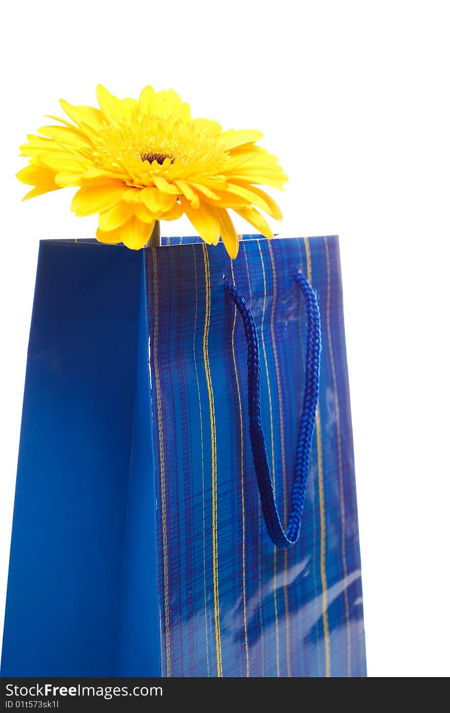 Paper Bag For Gifts