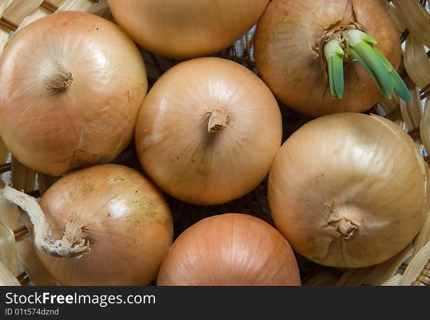 The sprouted onions