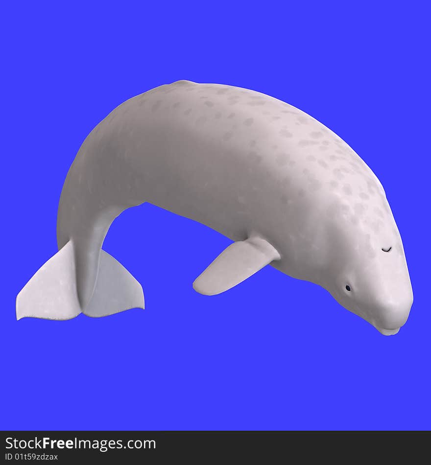 Whitle juvenilie beluga whale. 3D rendering with clipping path