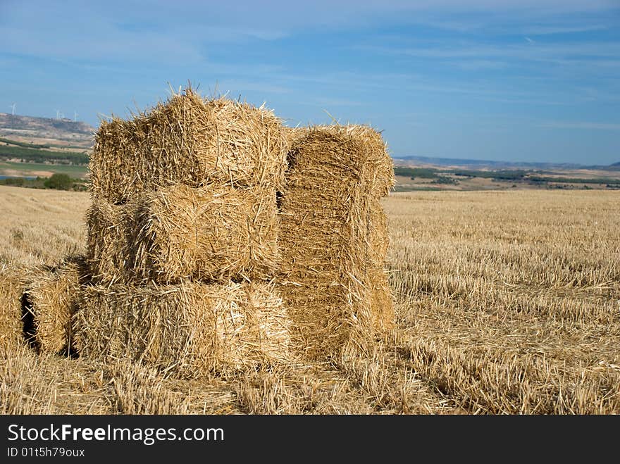 Summer Rural Landscape