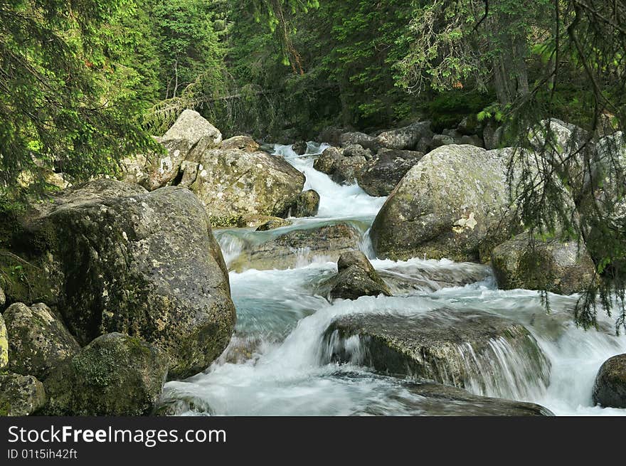 National park High Tatra and mountain creek. National park High Tatra and mountain creek