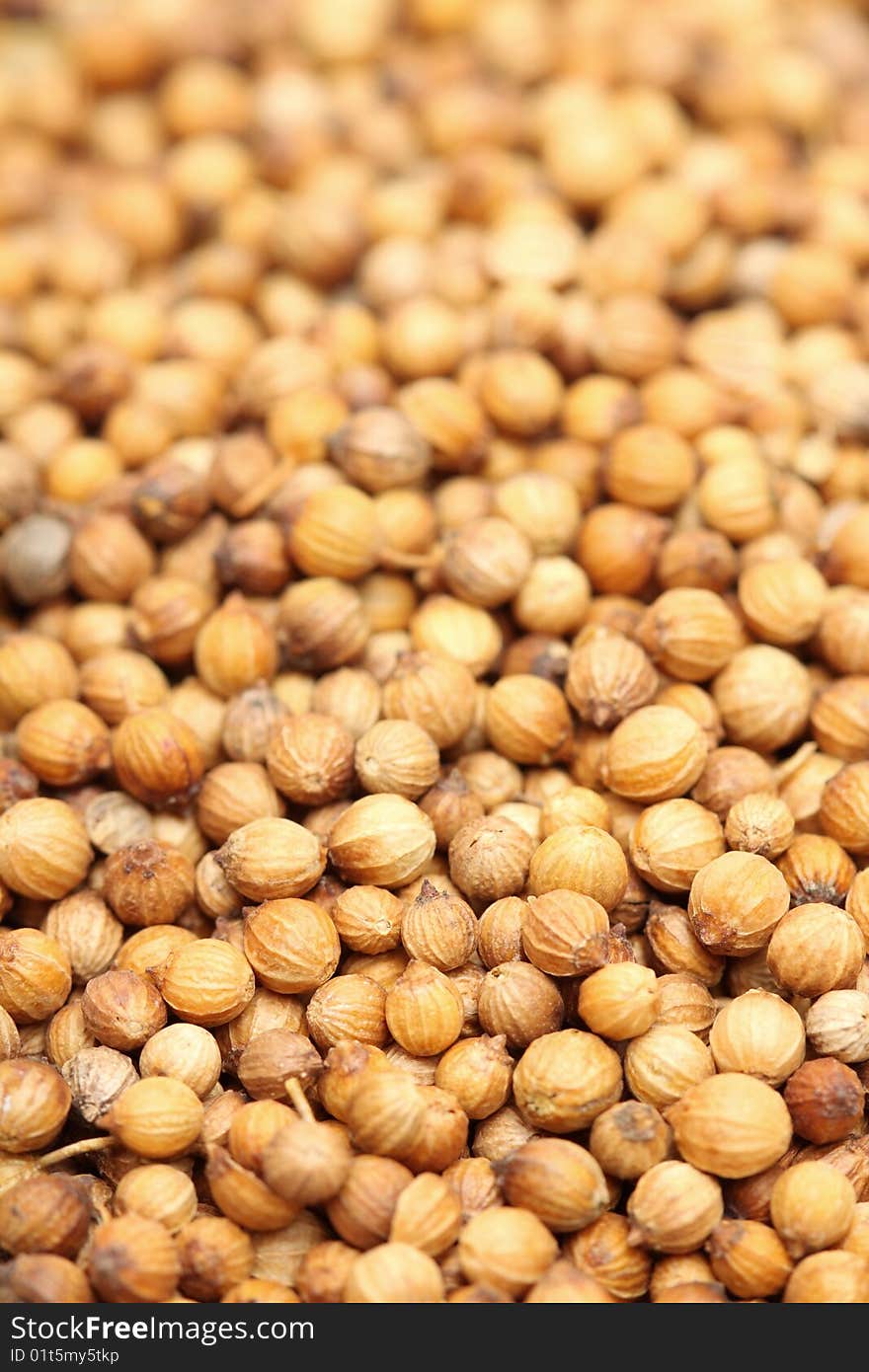 A macro shot of a heap of coriander.