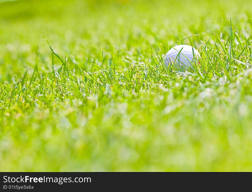 Golf ball on the green grass