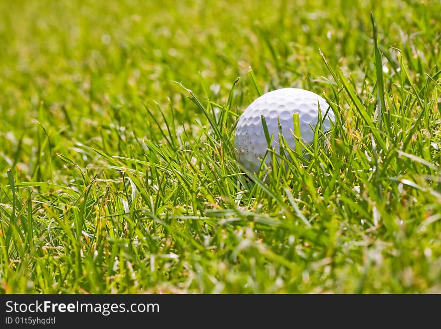 Golf ball on the green grass