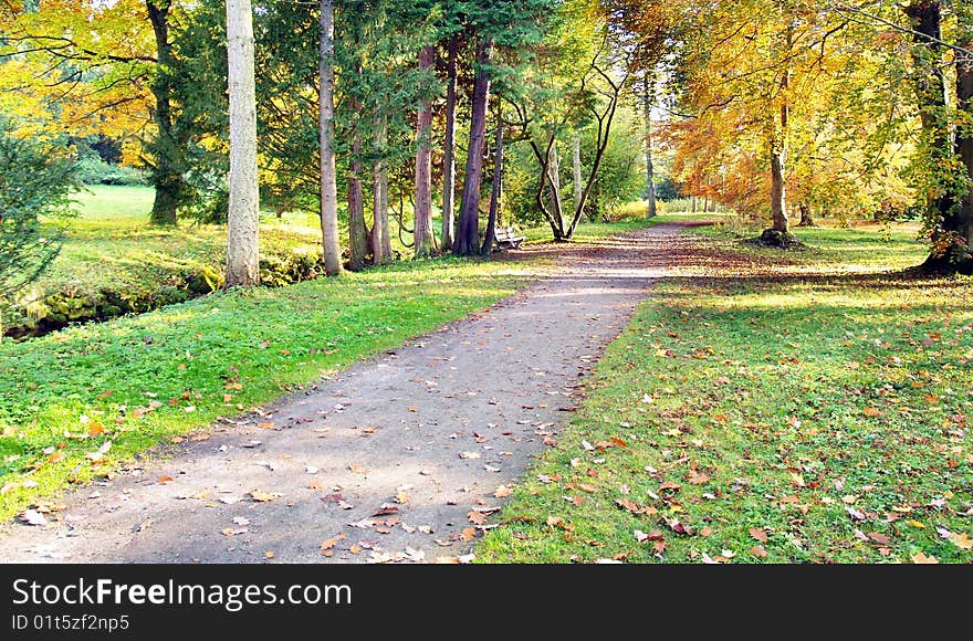 A view of the park in autumn.