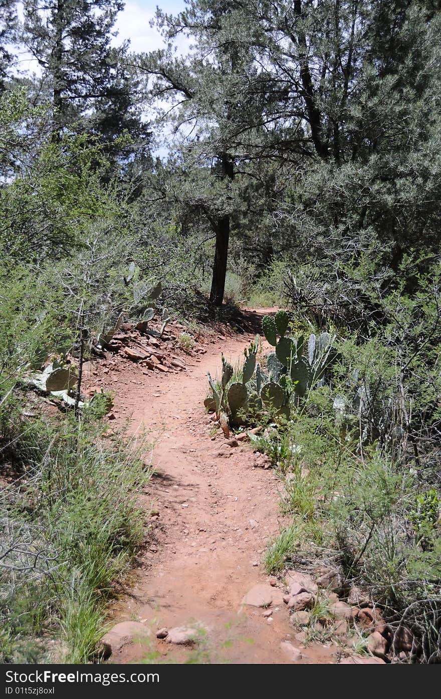 Red Rock Hiking Trail