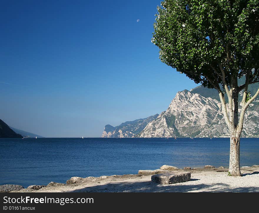 Scenery of Lake Garda with tree, Trentino, Italy. Scenery of Lake Garda with tree, Trentino, Italy