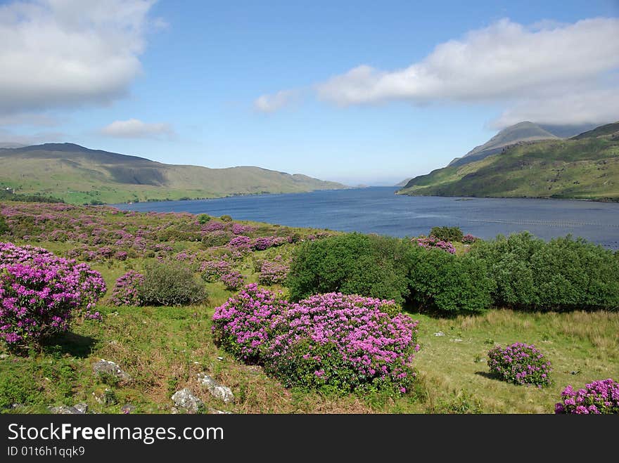 Landscape In Ireland