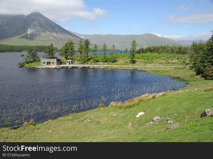 Landscape In Ireland