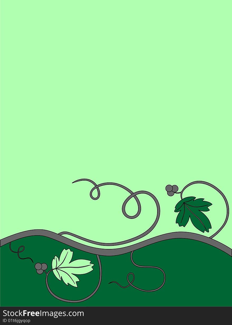 Vector illustration with a vine on a green background. Vector illustration with a vine on a green background