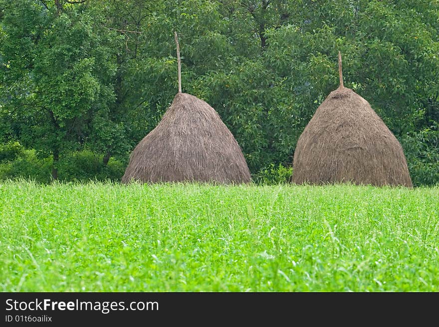 Two haystacks on field and forest in background