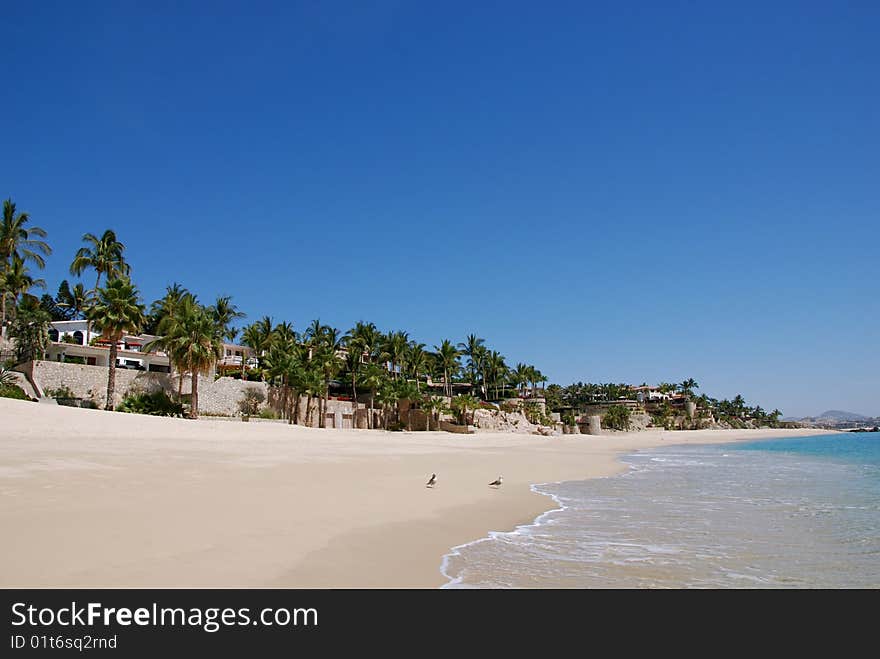 Luxurious Ocean Community Palmilla Sur