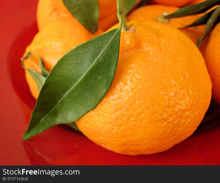 Fresh mandarin tangerina from the tree in Cyprus. Fresh mandarin tangerina from the tree in Cyprus