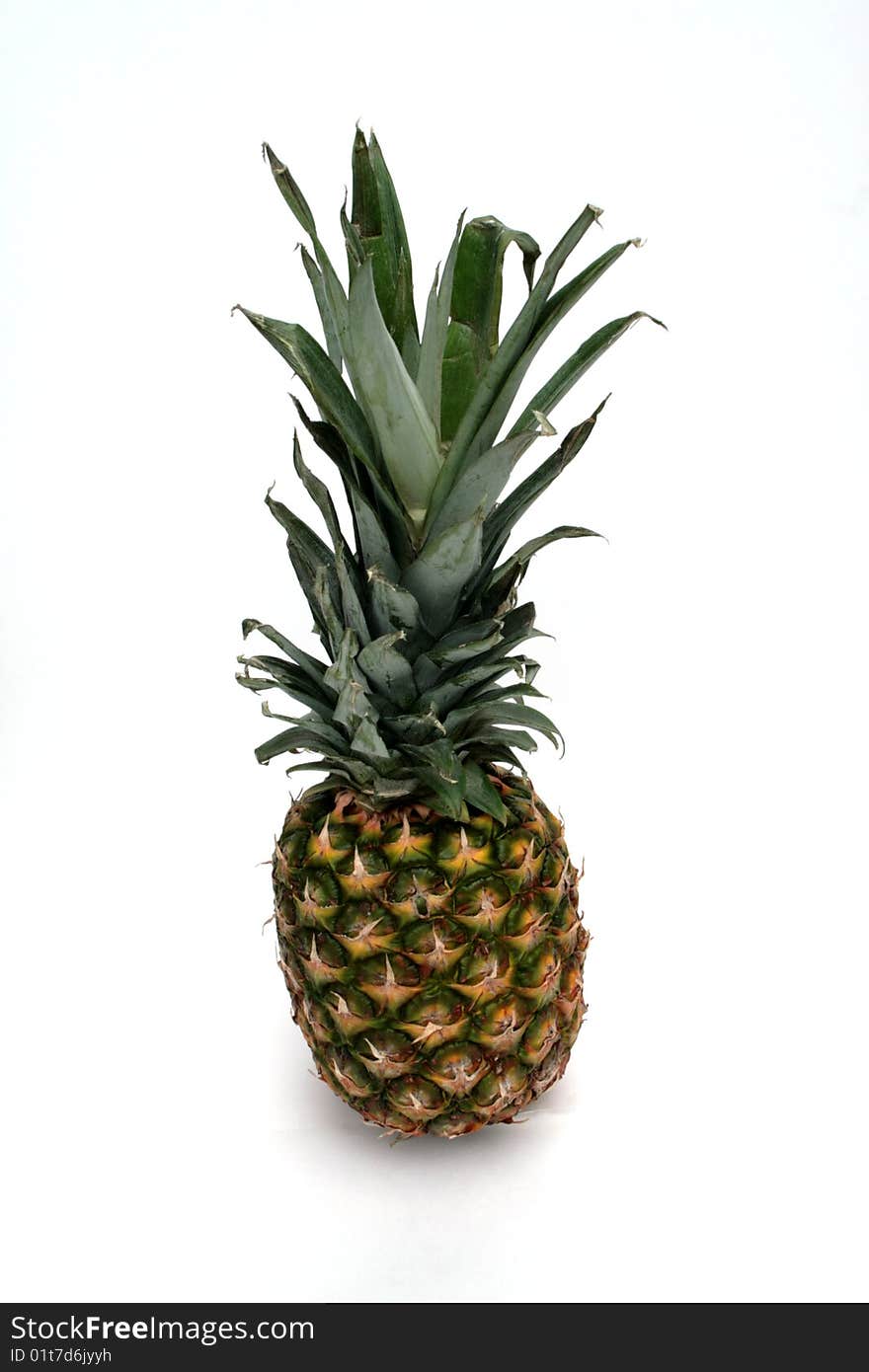 Pineapple