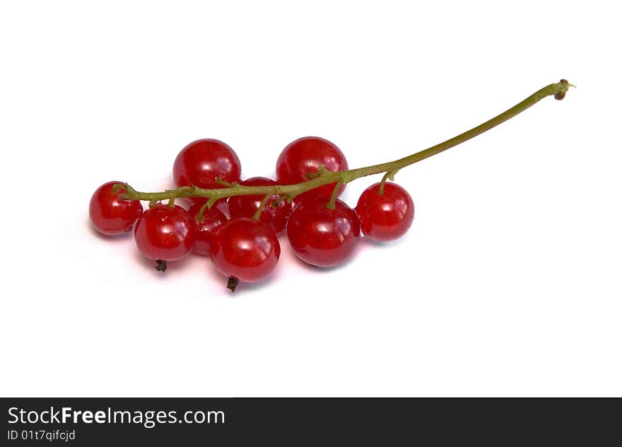 Red currants isolated on white