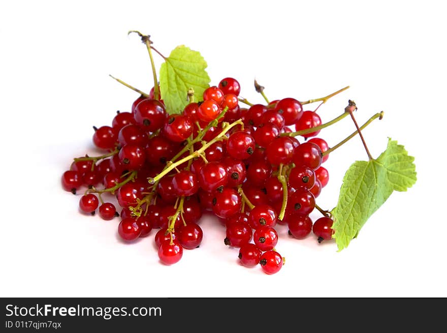 Red currants isolated on white