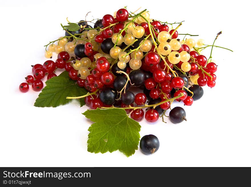 Still life with colored currants. Still life with colored currants