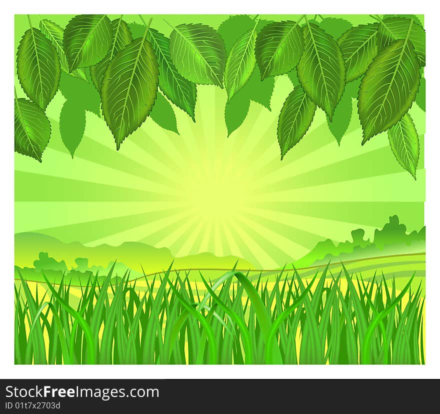 Vector background with leaf and grass in green color, illustration. Vector background with leaf and grass in green color, illustration